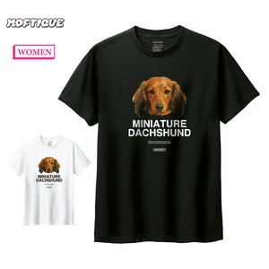 T-shirt Dachshund Ladies fashion Printed Short-Sleeved T-Shirt Dog Cut-and-sew