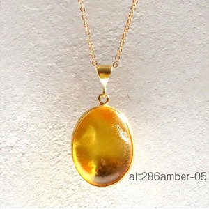 Necklace/Pendant Necklace Jewelry