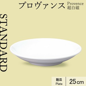 Main Plate 25cm Made in Japan