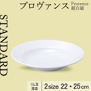Main Plate 22cm Made in Japan