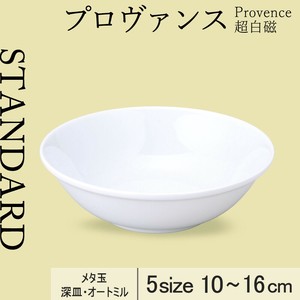 Small Plate 10cm Made in Japan