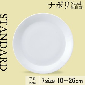 Main Plate 10cm Made in Japan