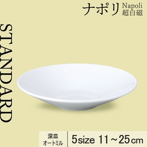 Main Plate 11cm Made in Japan