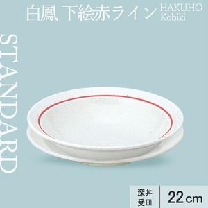 丼饭碗/盖饭碗 22cm 3种类 日本制造