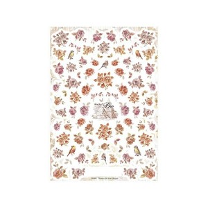 Sha-Nail Pro 写ネイル ネイルシール Nuance de Rose Beige NR-001