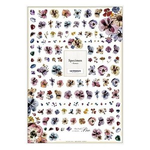 Sha-Nail Pro 写ネイル ネイルシール Specimen/スペシメン -flower/フラワー- RYOSP-001