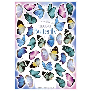 Sha-Nail Pro 写ネイル ネイルシール CLOSE-UP Butterfly CLB-001