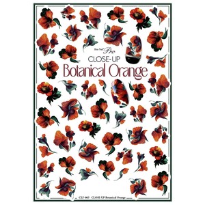 Sha-Nail Pro 写ネイル ネイルシール CLOSE-UP Botanical Orange CLF-005