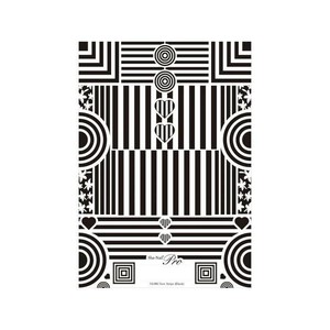 Sha-Nail Pro 写ネイル ネイルシール New Stripe(Black) NS-002