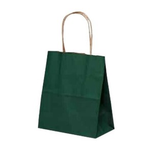 自動紐手提袋 T-1 カラー(緑) 1115 25枚