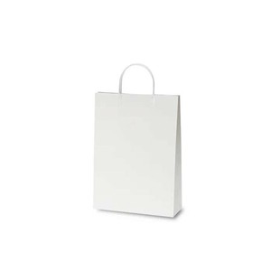 用途にあわせた手提袋 A4ファイルバッグ 1084 10枚