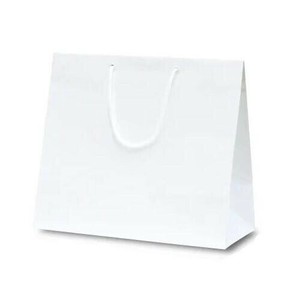 ファインバッグ(ワイド)手提袋 150ワイド 1175 10枚