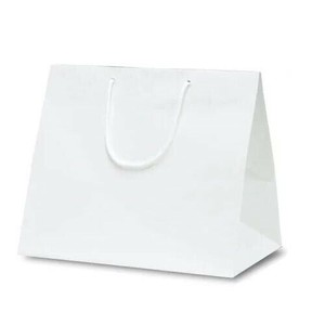ファインバッグ(ワイド)手提袋 220ワイド 1179 10枚