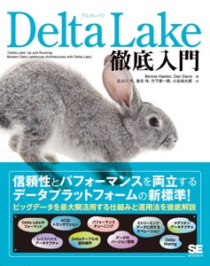 IT/Information Book