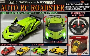 Remote Control Car