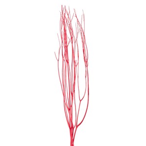 【2025年25AW新作】みつまた染　100cm 紅（レッド） 約L100cm 5本入 FD010100-013 ドライフラワー