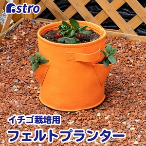 Pot/Planter Orange