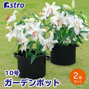 花盆 黑 毛毡 2个 10号