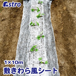 Gardening Item 1 x 10m