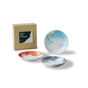 Mino ware COSMO Main Plate Made in Japan