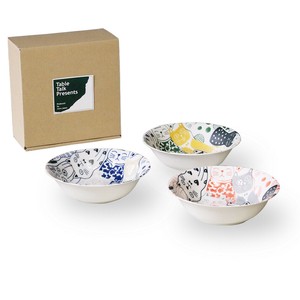Mino ware Main Dish Bowl Made in Japan