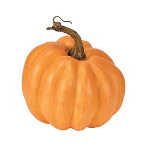 Store Material for Halloween