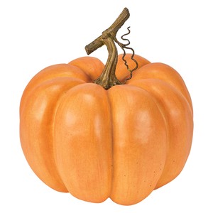 Store Material for Halloween