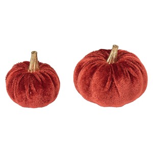 Store Material for Halloween 6-pcs set