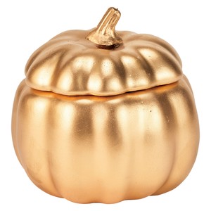 Store Material for Halloween