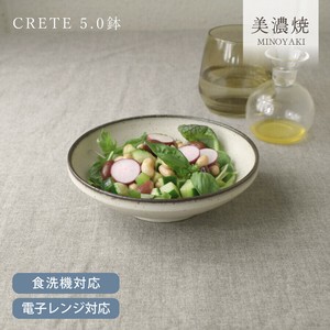 クレタ5.0鉢【中鉢 深皿 日本製 美濃焼】