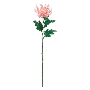 【2025年25AW新作】 MAGIQ まつり糸菊＃2　ピンク花径18×L73×W20cm1入FM002651-002