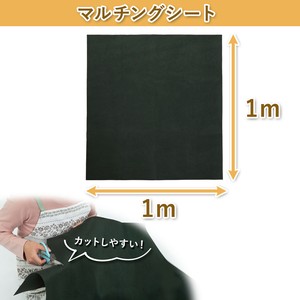 园艺用品 绿色 1 x 1m