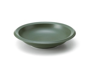 Main Plate Back Order Item