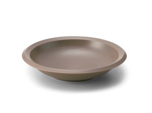 Main Plate Back Order Item