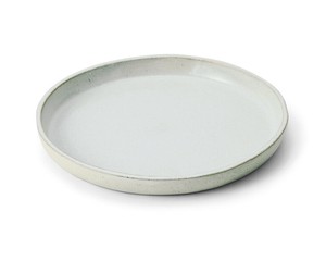 Main Plate Back Order Item