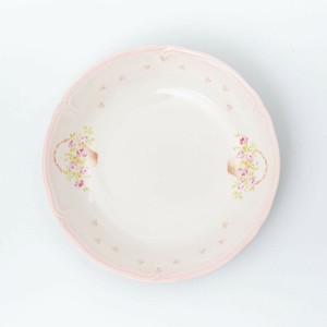 大餐盘/中餐盘 新商品 意大利面餐盘 日本制造