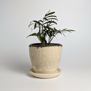 信乐烧 花盆 白色 日本制造