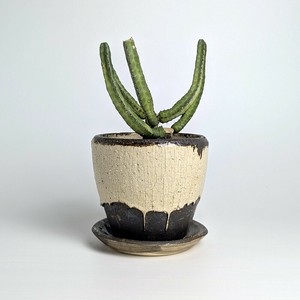 Shigaraki ware Pot/Planter Brown Made in Japan