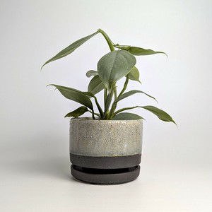 信乐烧 花盆 灰色 日本制造