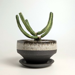 Shigaraki ware Pot/Planter black Made in Japan