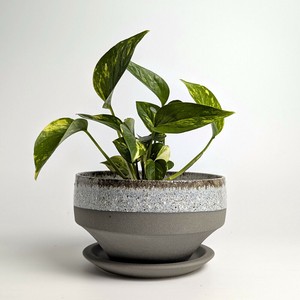 Shigaraki ware Pot/Planter Gray Made in Japan