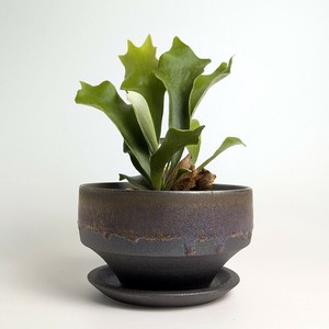 Shigaraki ware Pot/Planter Made in Japan