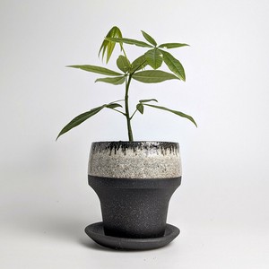 Shigaraki ware Pot/Planter black Made in Japan