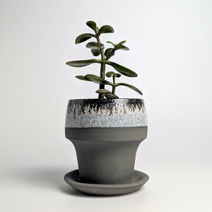 Shigaraki ware Pot/Planter Gray Made in Japan