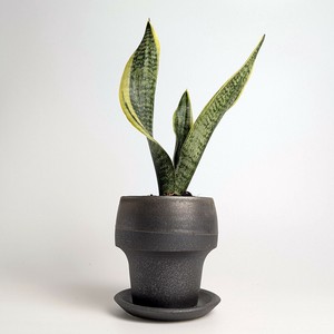 Shigaraki ware Pot/Planter Made in Japan
