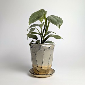 Shigaraki ware Pot/Planter Gray Made in Japan
