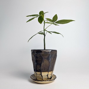 Shigaraki ware Pot/Planter Made in Japan