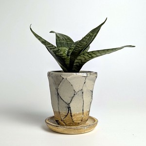 Shigaraki ware Pot/Planter Gray Made in Japan