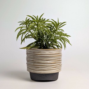 Shigaraki ware Pot/Planter Beige Made in Japan