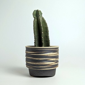 Shigaraki ware Pot/Planter Made in Japan